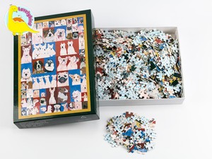 Rompecabezas de 1000 piezas Fabricante de juguetes de regalo educativo por encargo